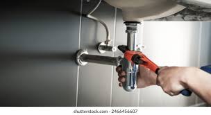 Best Garbage Disposal Repair and Installation  in Del Norte, CO